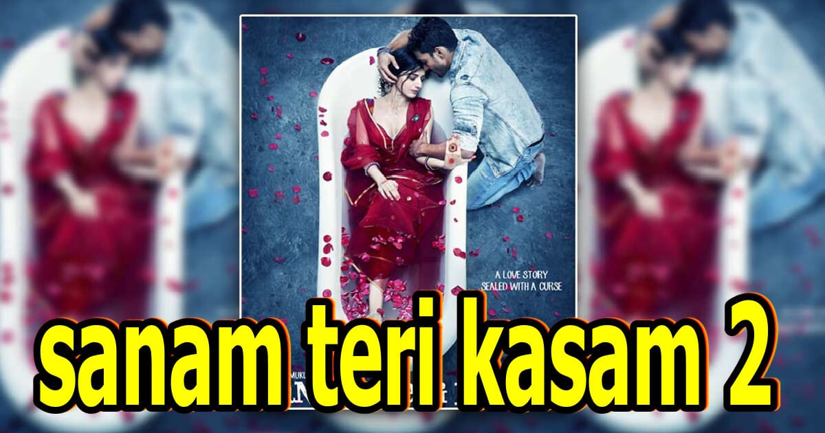 Sanam teri kasam 2 : 2025 में आएगी यह Awesome रोमांटिक फिल्म ? 19 sanam teri kasam 2